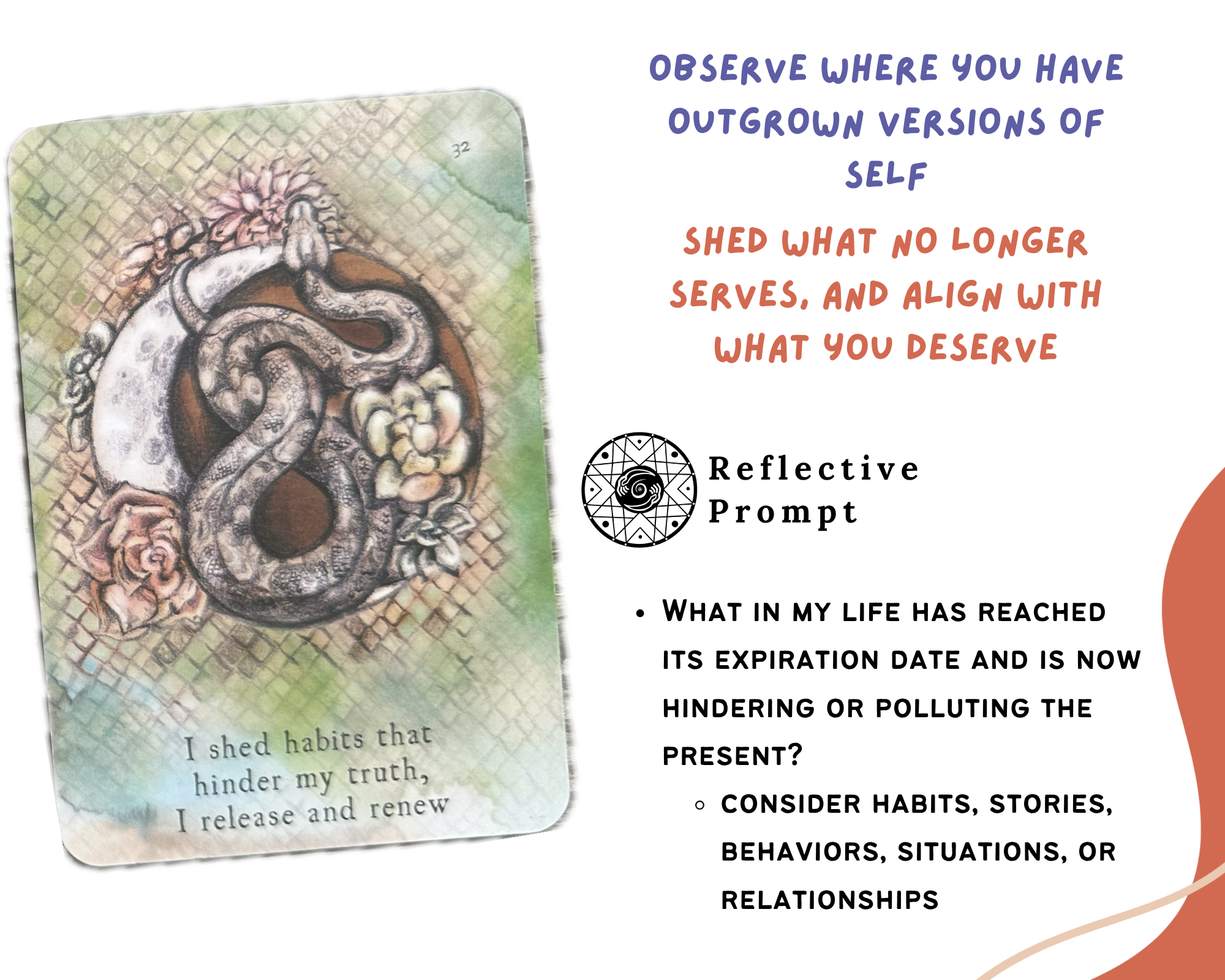 Full Moon Collective Energy for October 2025