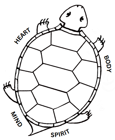 What Does a Turtle Shell Do?