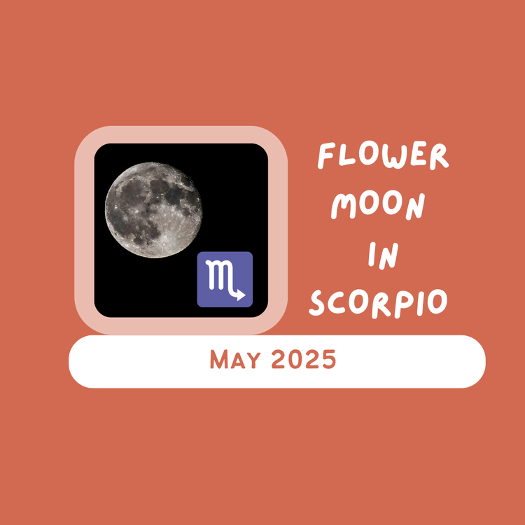 Full Moon Collective Energy for May 2025
