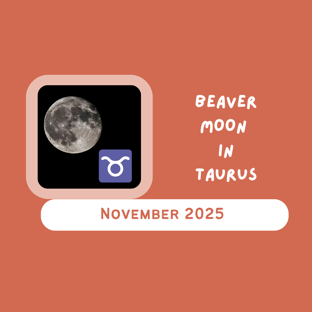 Full Moon Collective Energy for November 2025